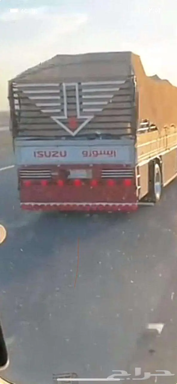 دينه نقل دنه الطائف دينه نقل 0