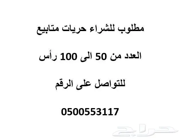 مطلوب للشراء 0