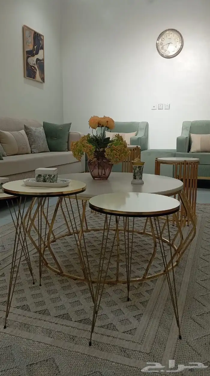 ش ا ل ي ه للايجار اليومي 21