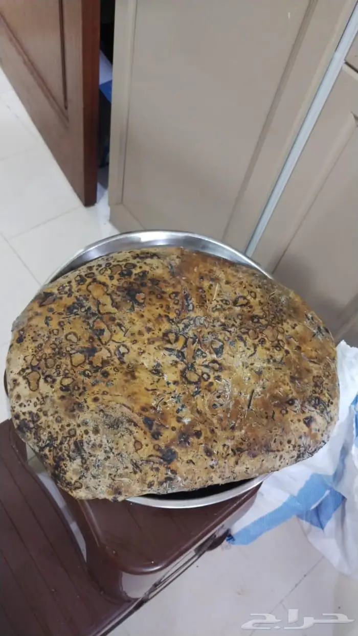 خبزه جنوبيه مقناه 3