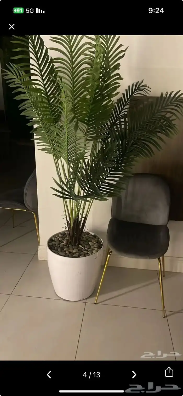 ادوات مطعم يحالة ممتازة 0
