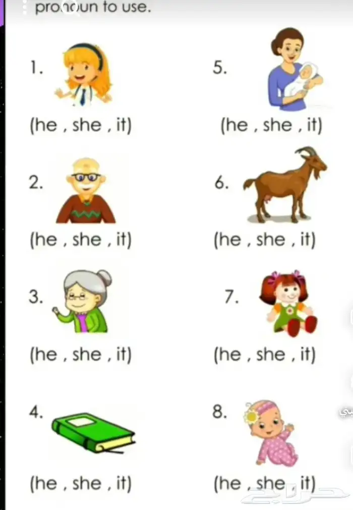 تأسيس لغة انجليزية وعروض كانفا للشركات وللمحلات 0