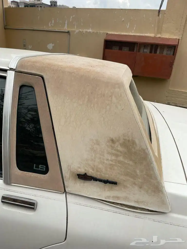 كابرس 89 أمريكي 16