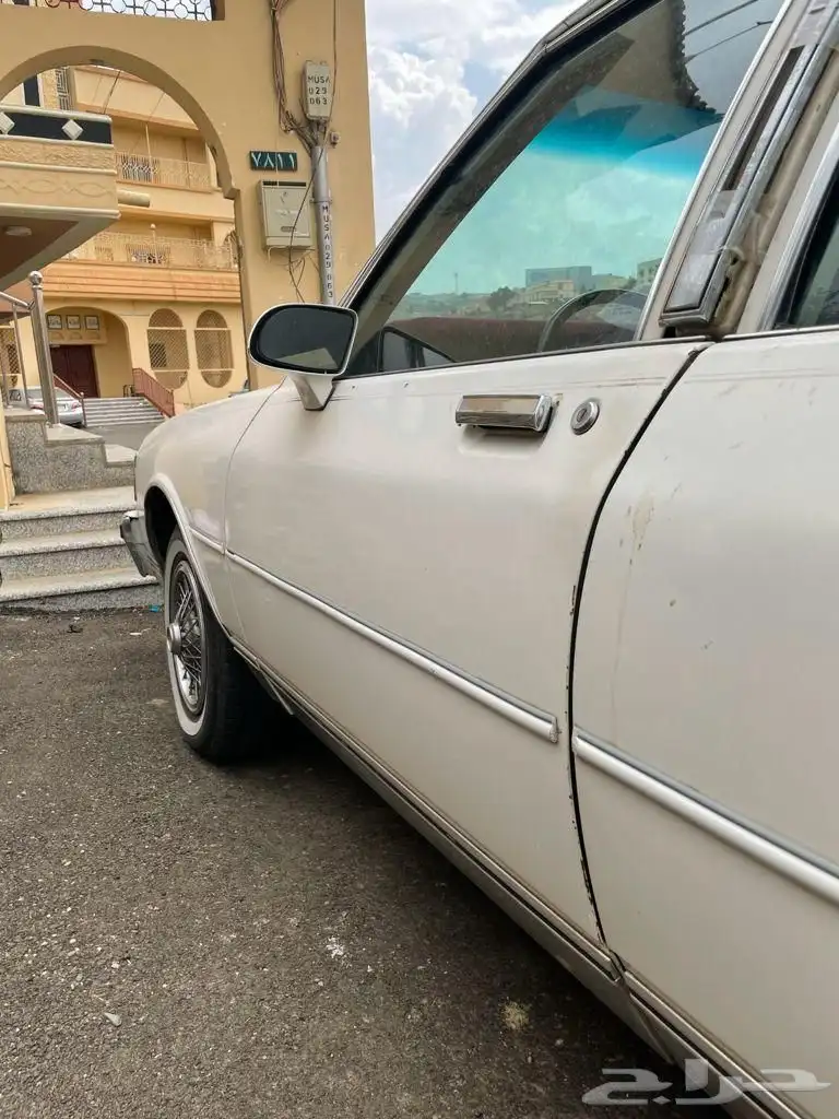 كابرس 89 أمريكي 17