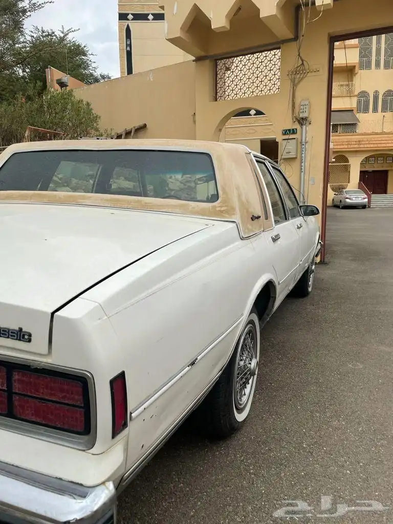 كابرس 89 أمريكي 20