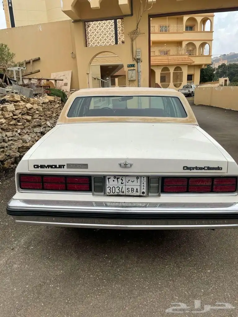 كابرس 89 أمريكي 19