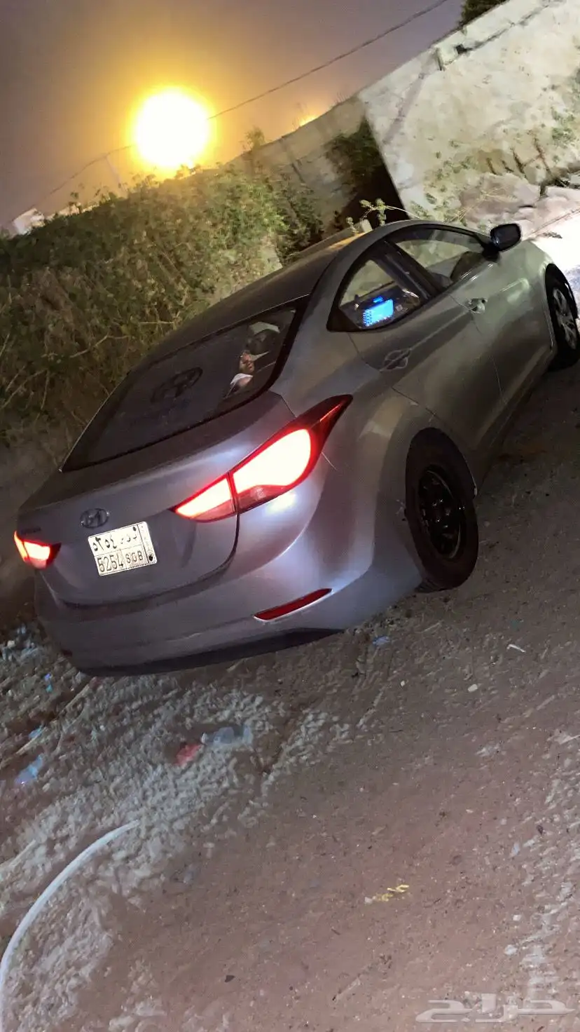 النترا 2013 8