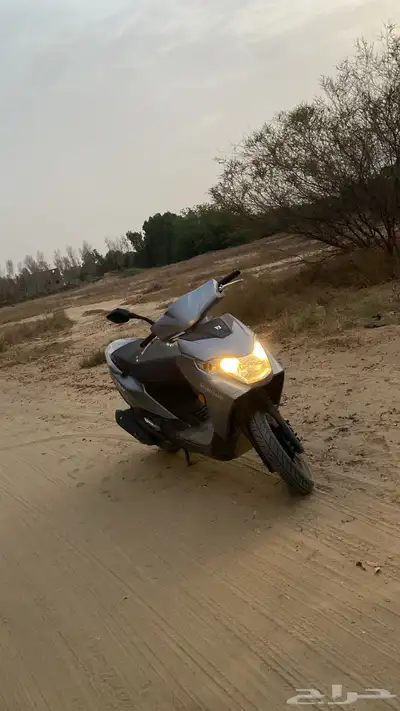 السلام دباب عجيب هاوجي بخاخات طلعت فيه الجبل الأسود بيش 0