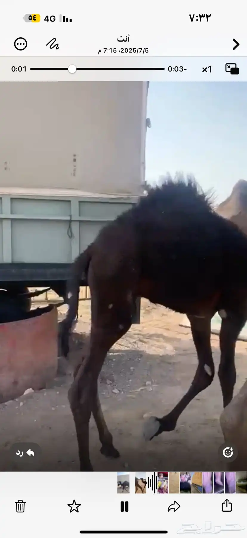 حوار 1