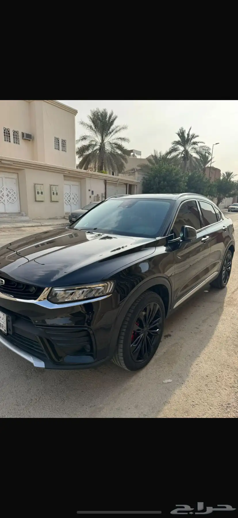 توجيلا 2023 2