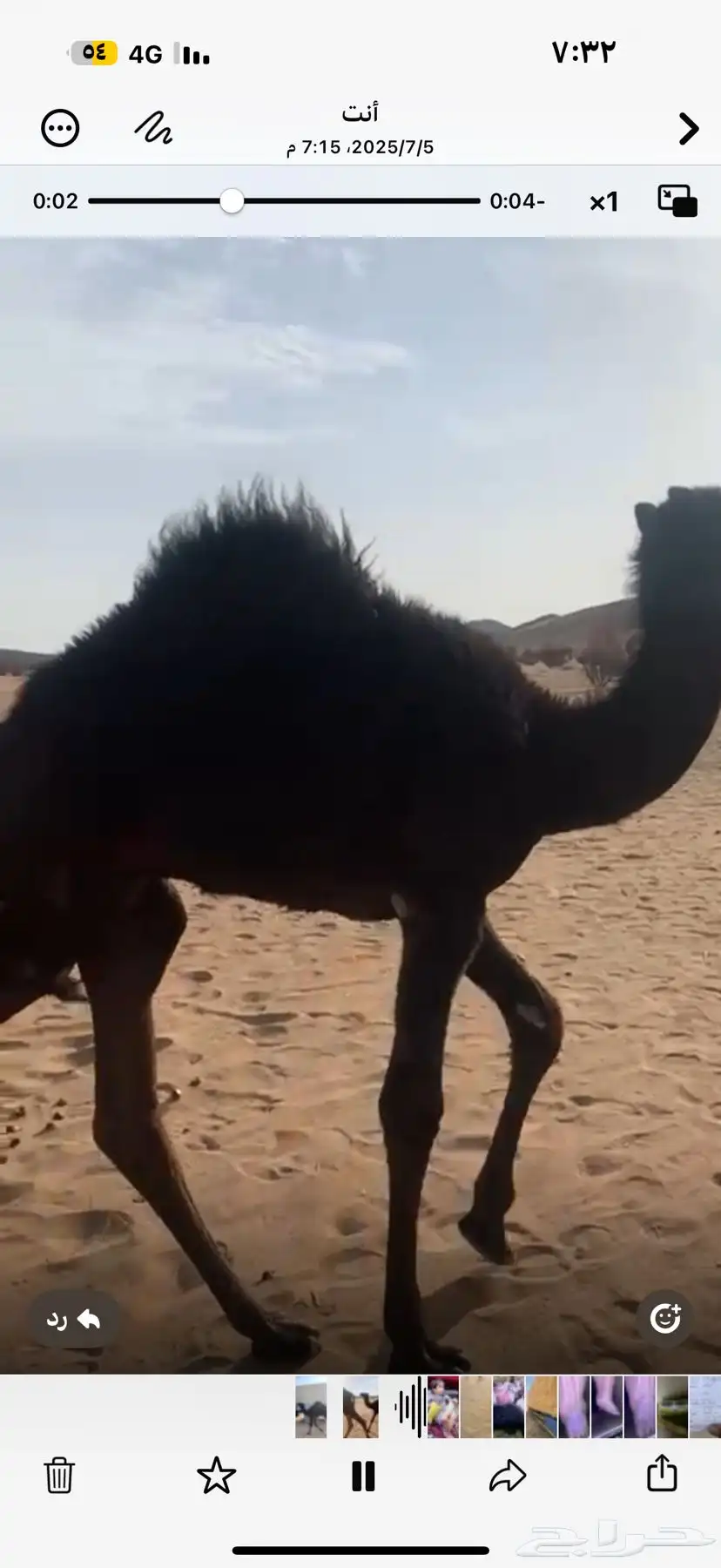 حوار 2