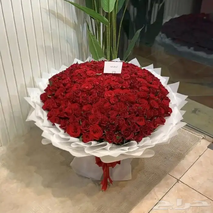 هدايا ورد خميس مشيط ابها احد رفيدة توصيل ورد وهدايا الجنوب 19