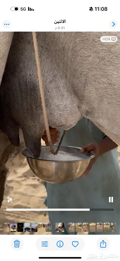 خلفه وضحا تحتها بكره وضحا طيبه وهديه وحليب وزين 5