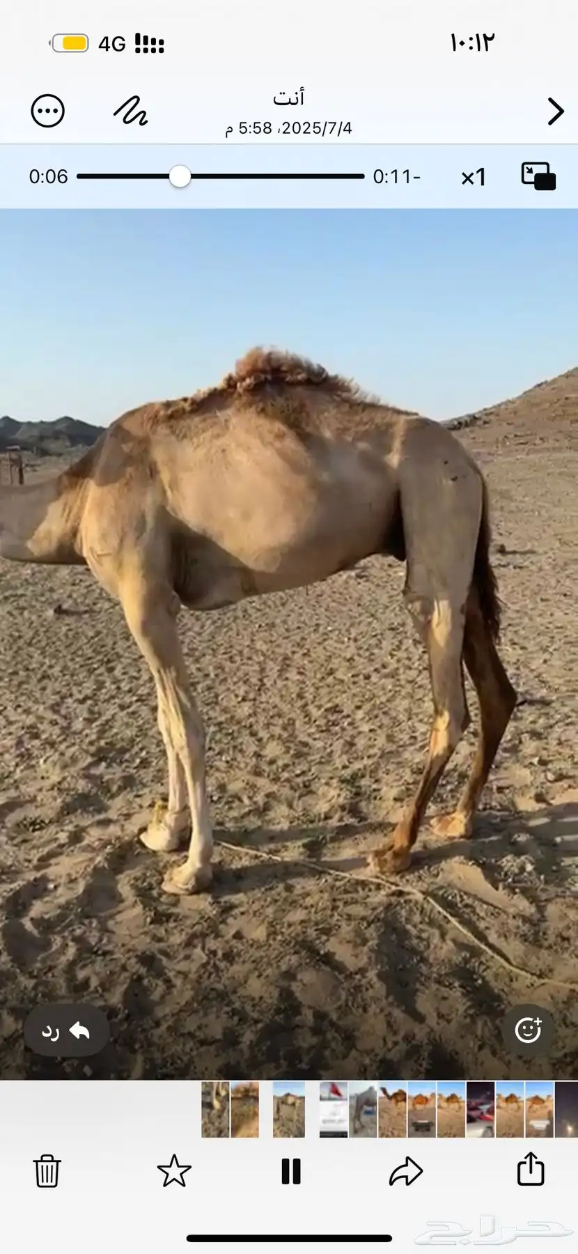 ركبي للبيع جزر والله 0