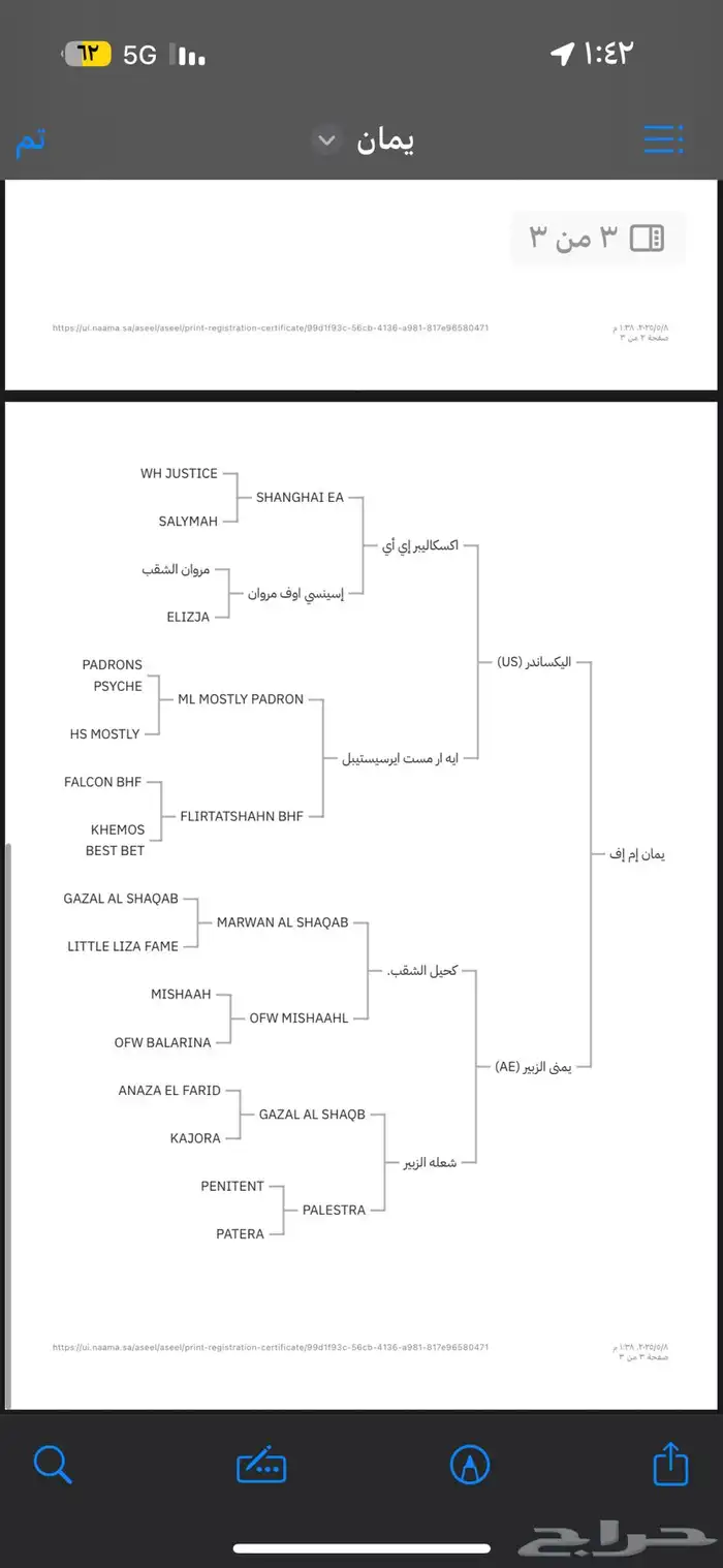 حصان واهو مكس فاخر 2