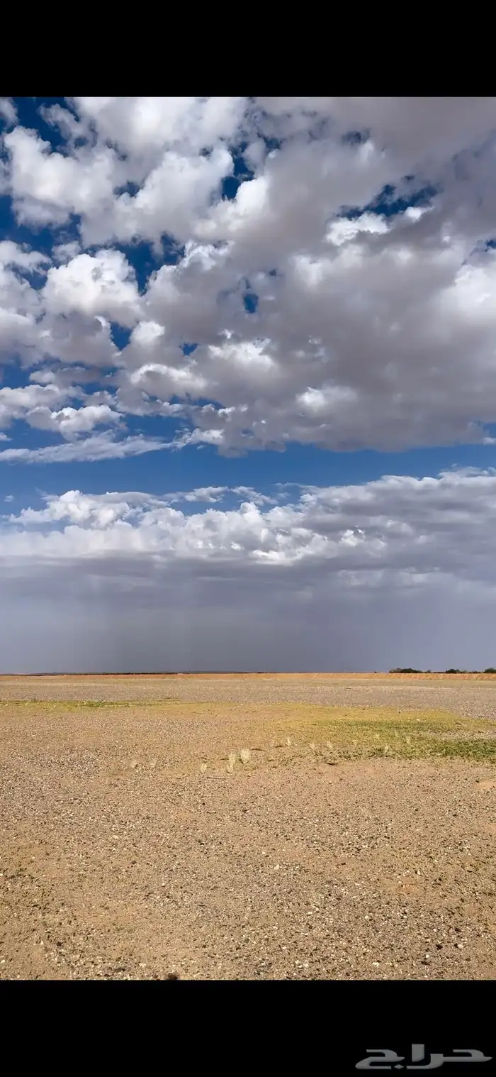 مزرعه للإيجار بالقرب من الرياض 4