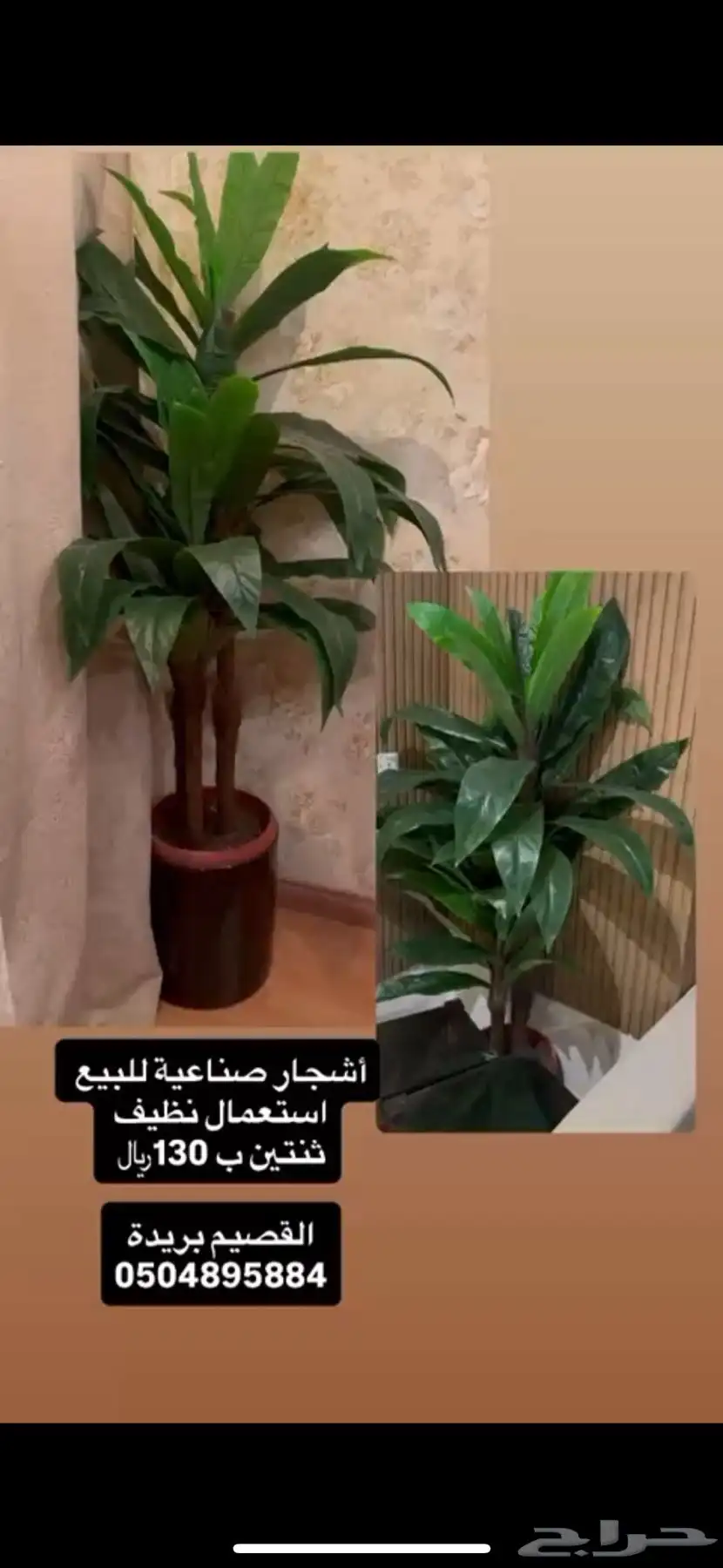شجرة 0