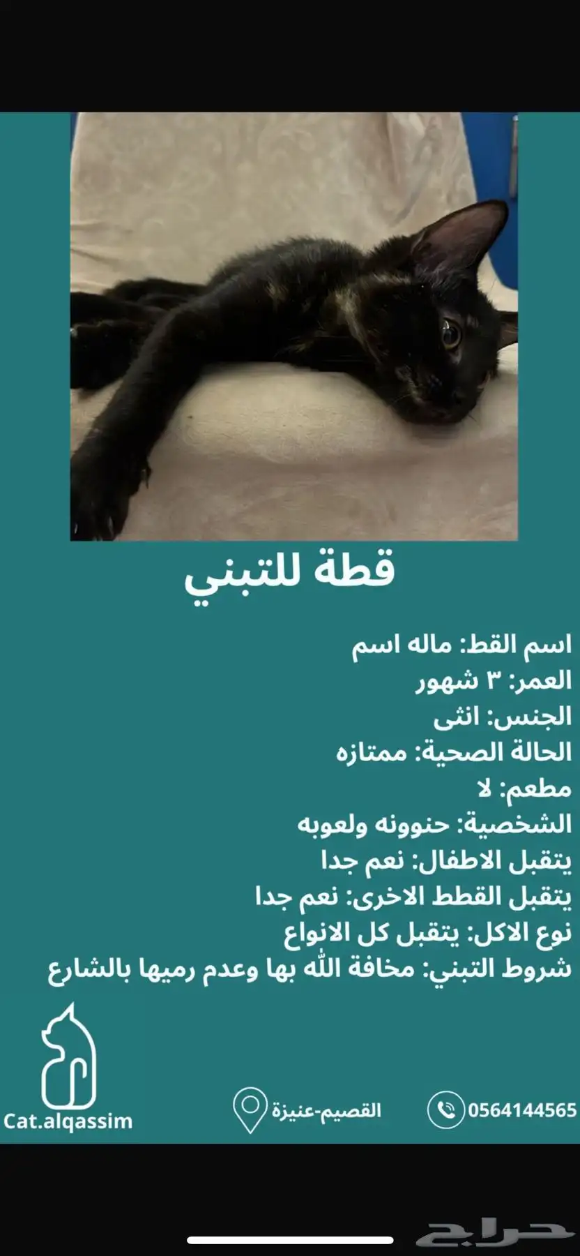 حيوانات 0