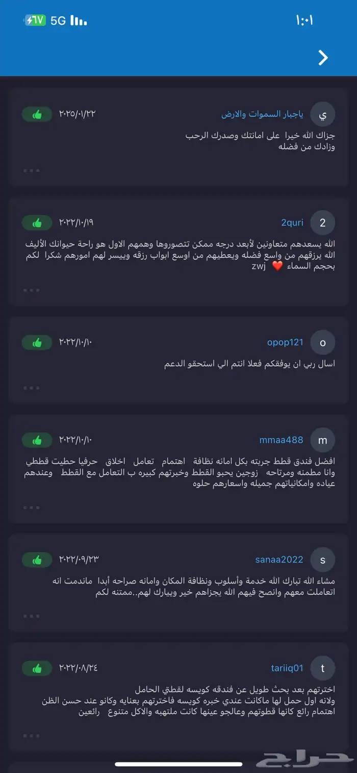 فندقة قطط الشرقية 3