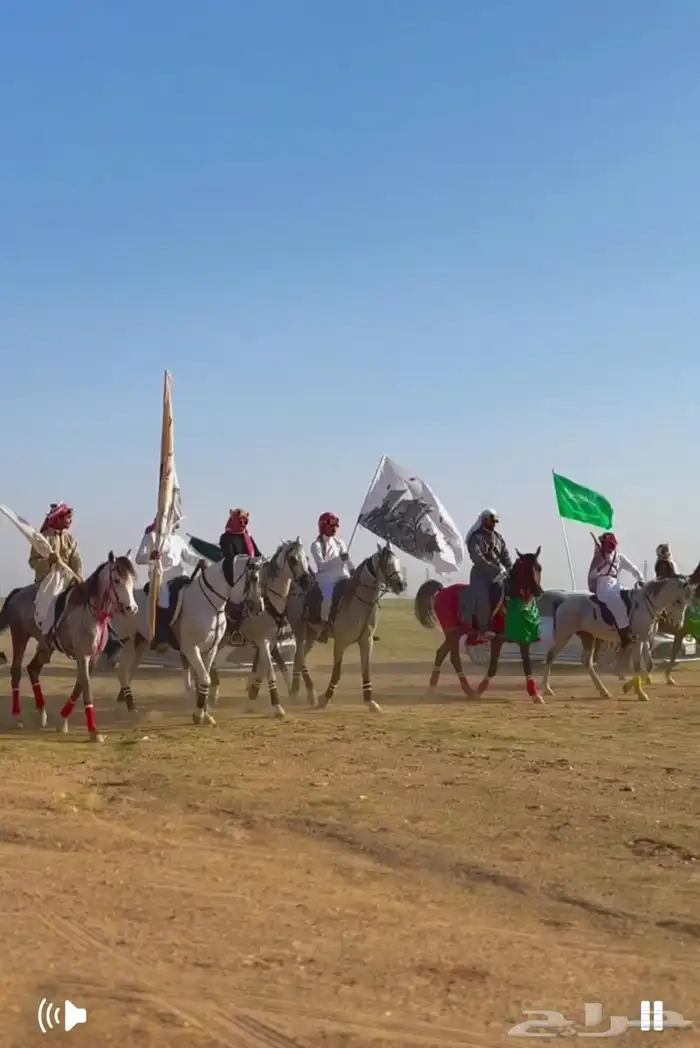 اسطبل ومربط خيل 12