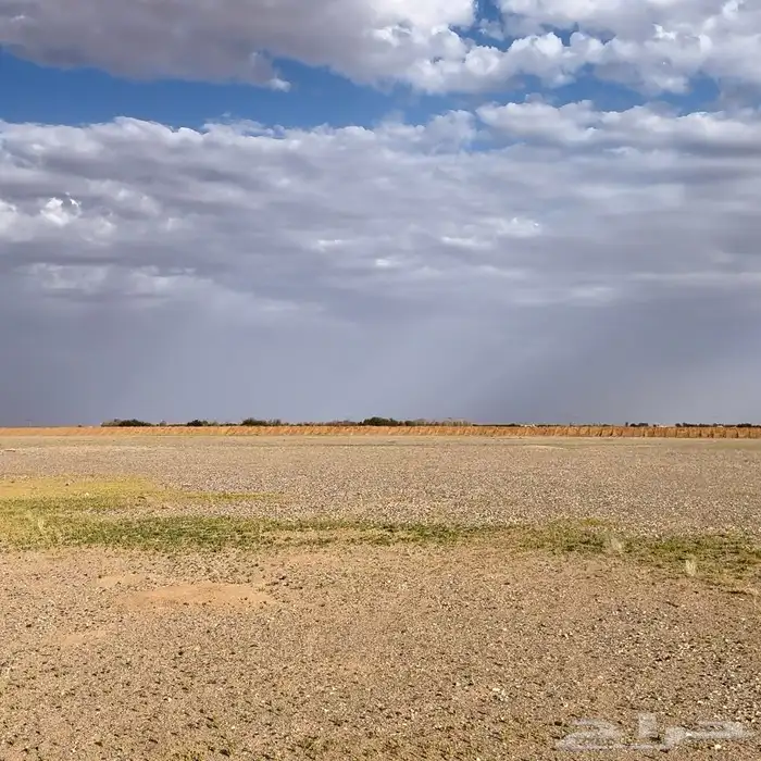 مزرعه للإيجار بالقرب من الرياض 0