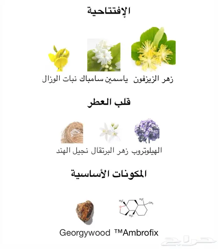 تقسيمات للعطر الترند تيليا Tilia 1