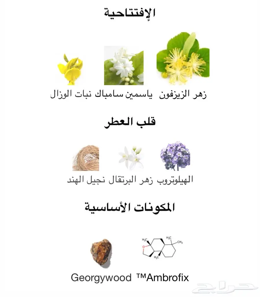 تقسيمة 10 مل للعطر الترند تيليا Tilia 1