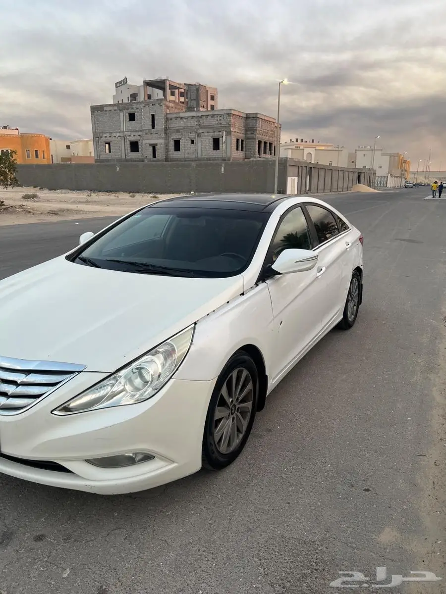 سوناتا 2013 1