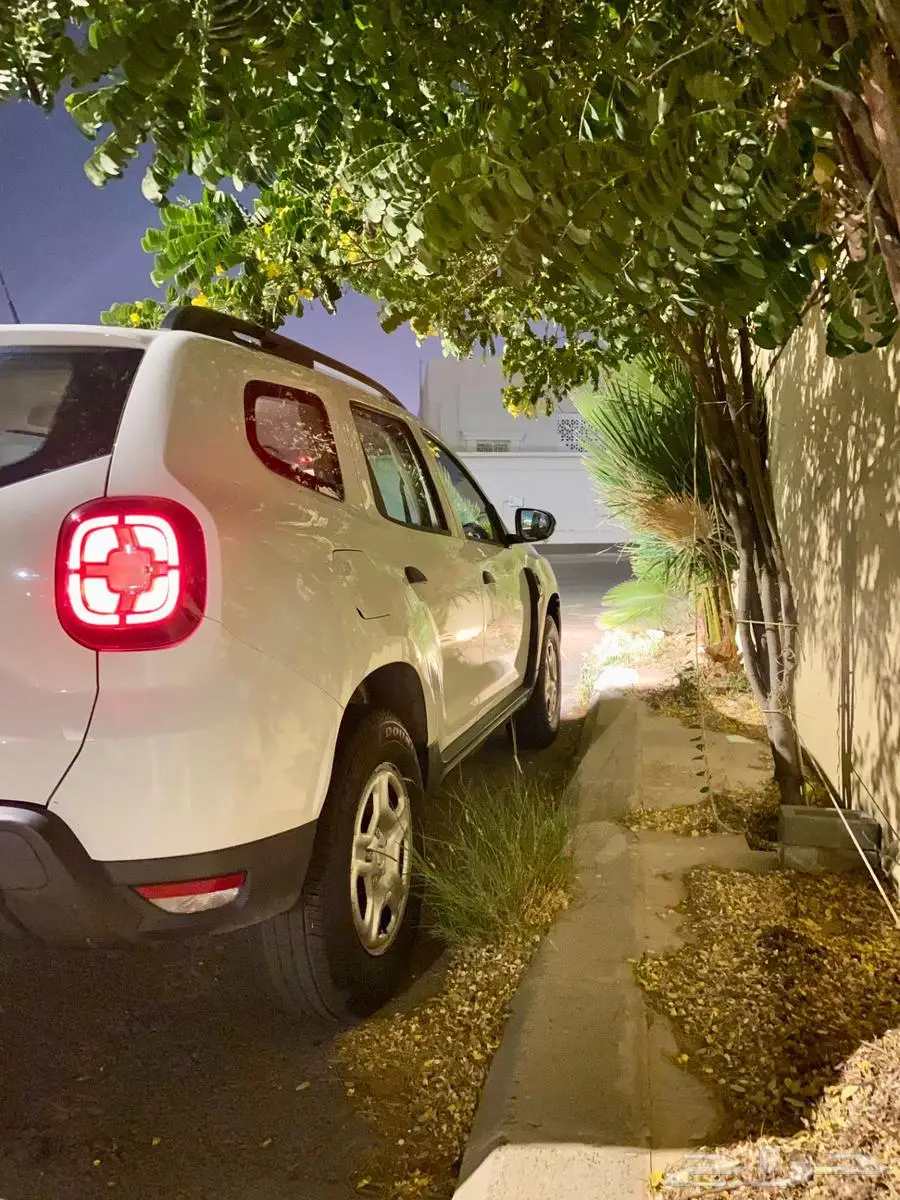رينو داستر 2019 3