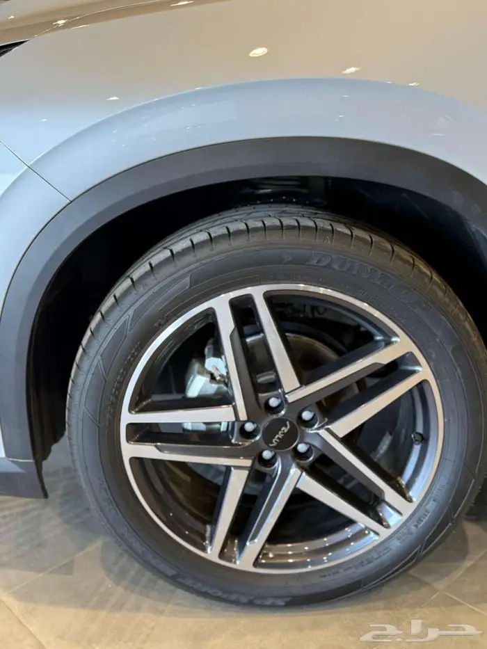 دونج فينج ميج 2025 14