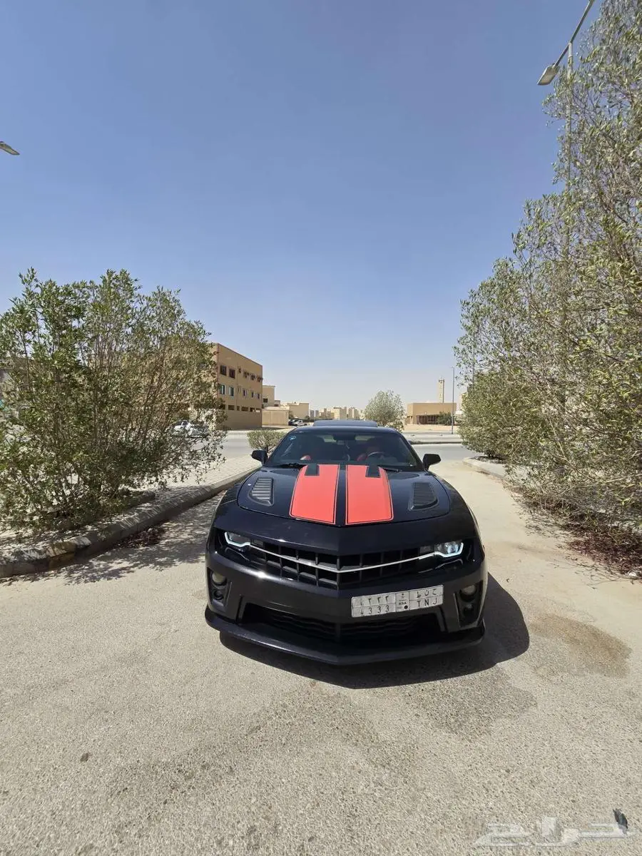 ال رياض 7