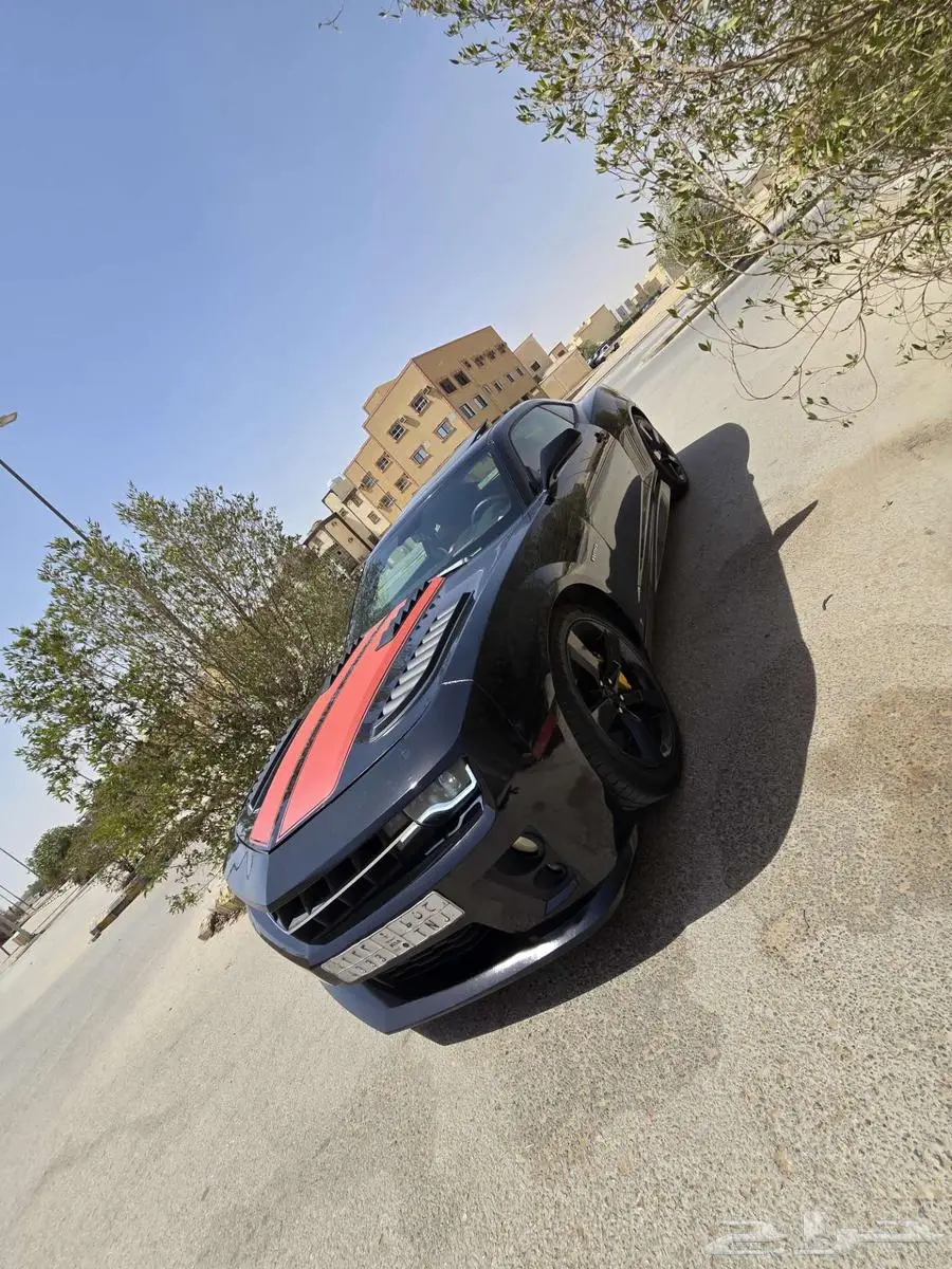 ال رياض 8