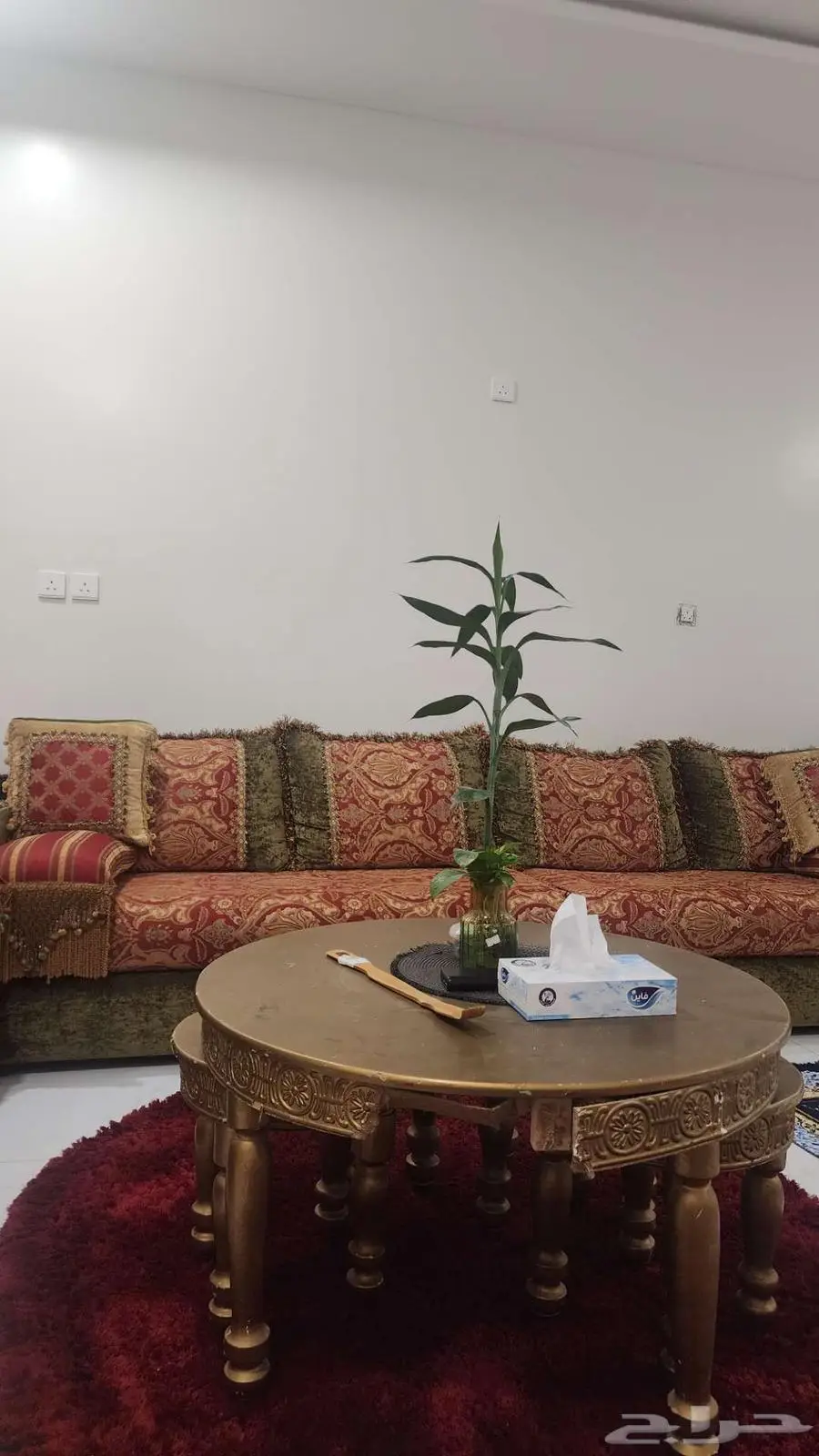 حي القرينيه 0