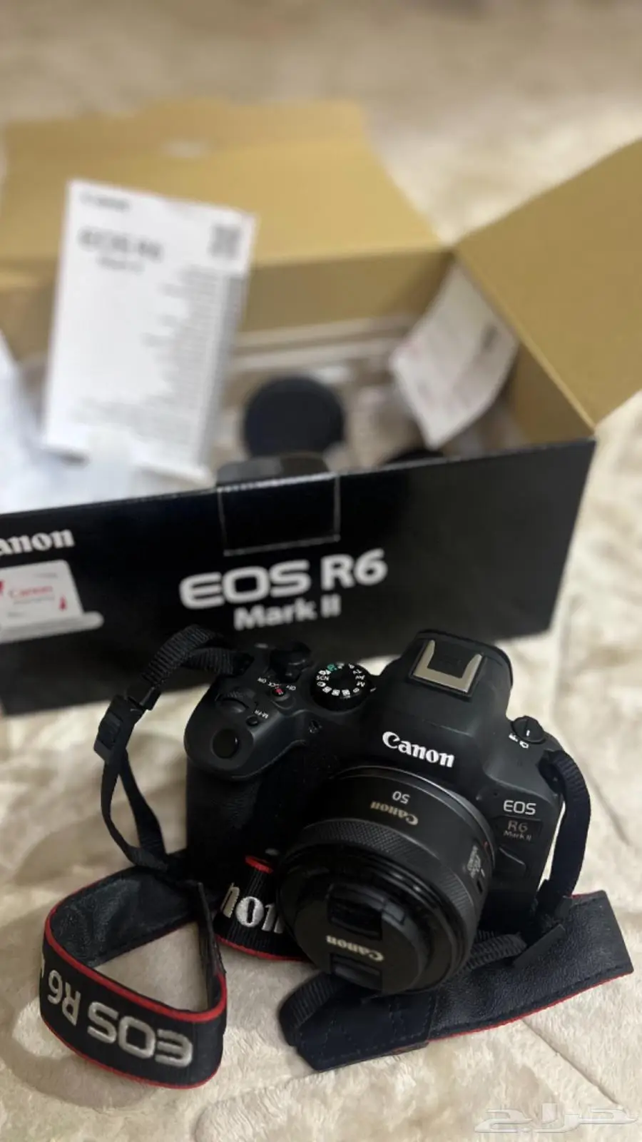 كاميرا كانون R6 Mark II 3