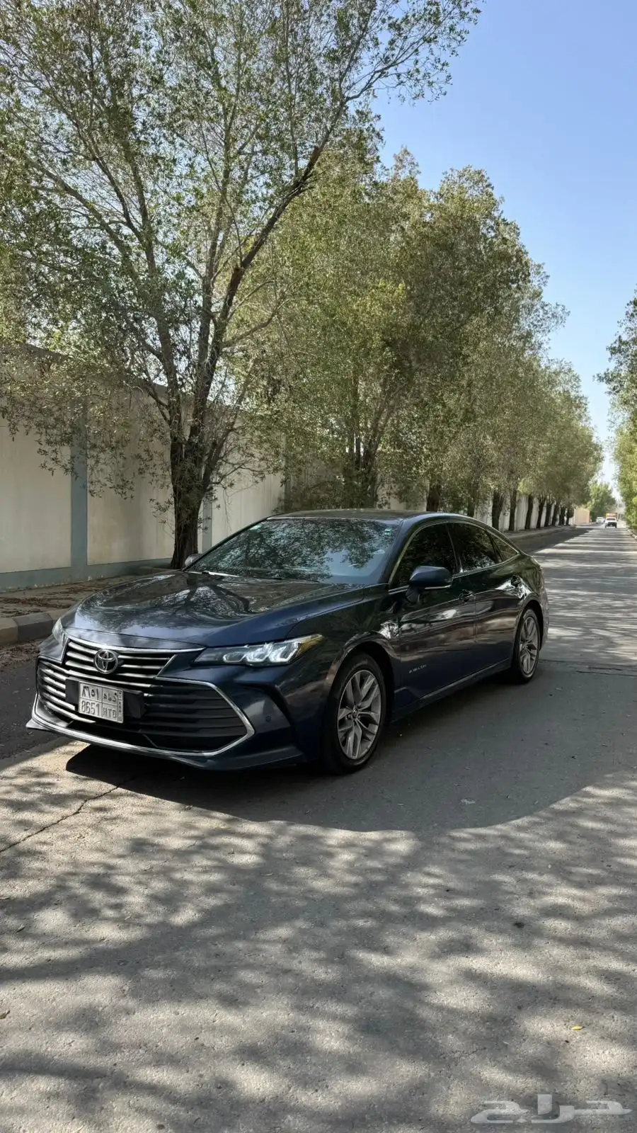 افالون 2019 12