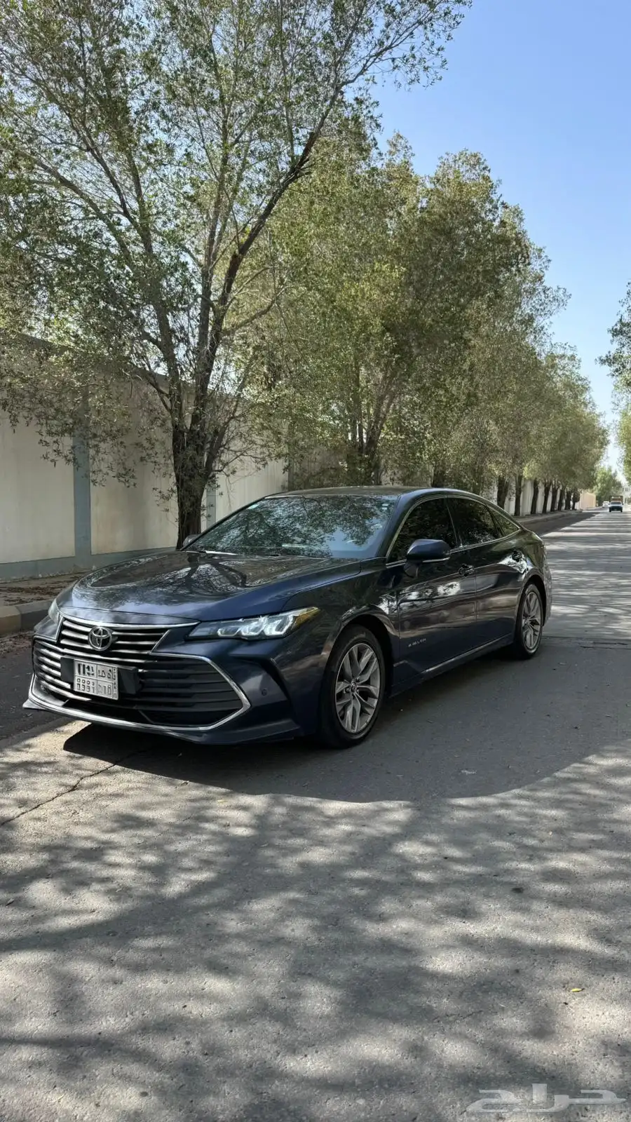 افالون 2019 16