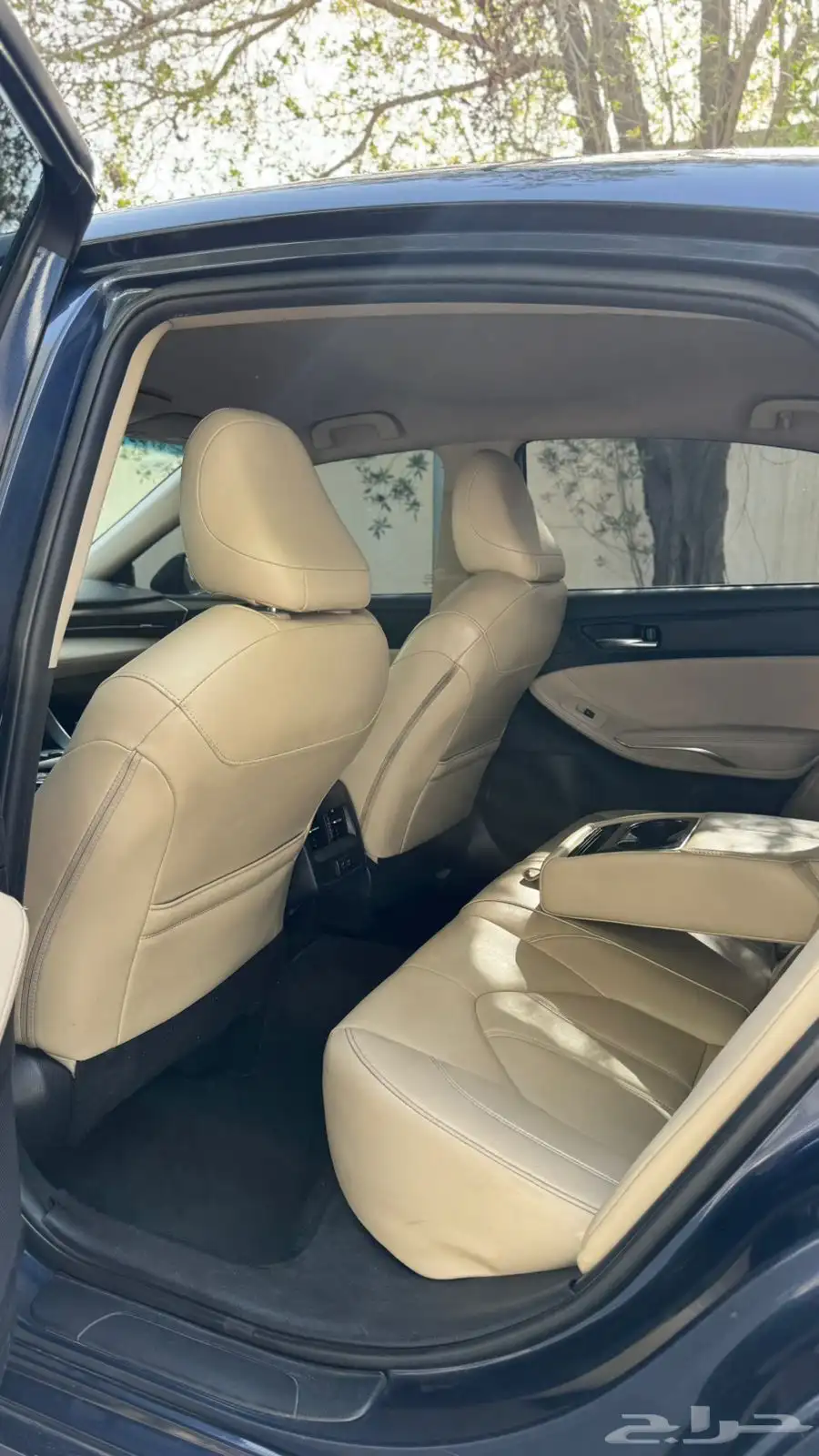 افالون 2019 11