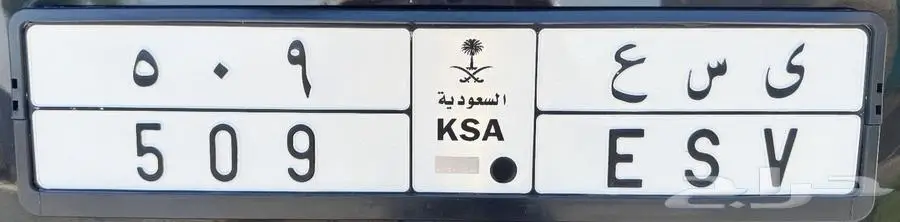 لوحه 509 0