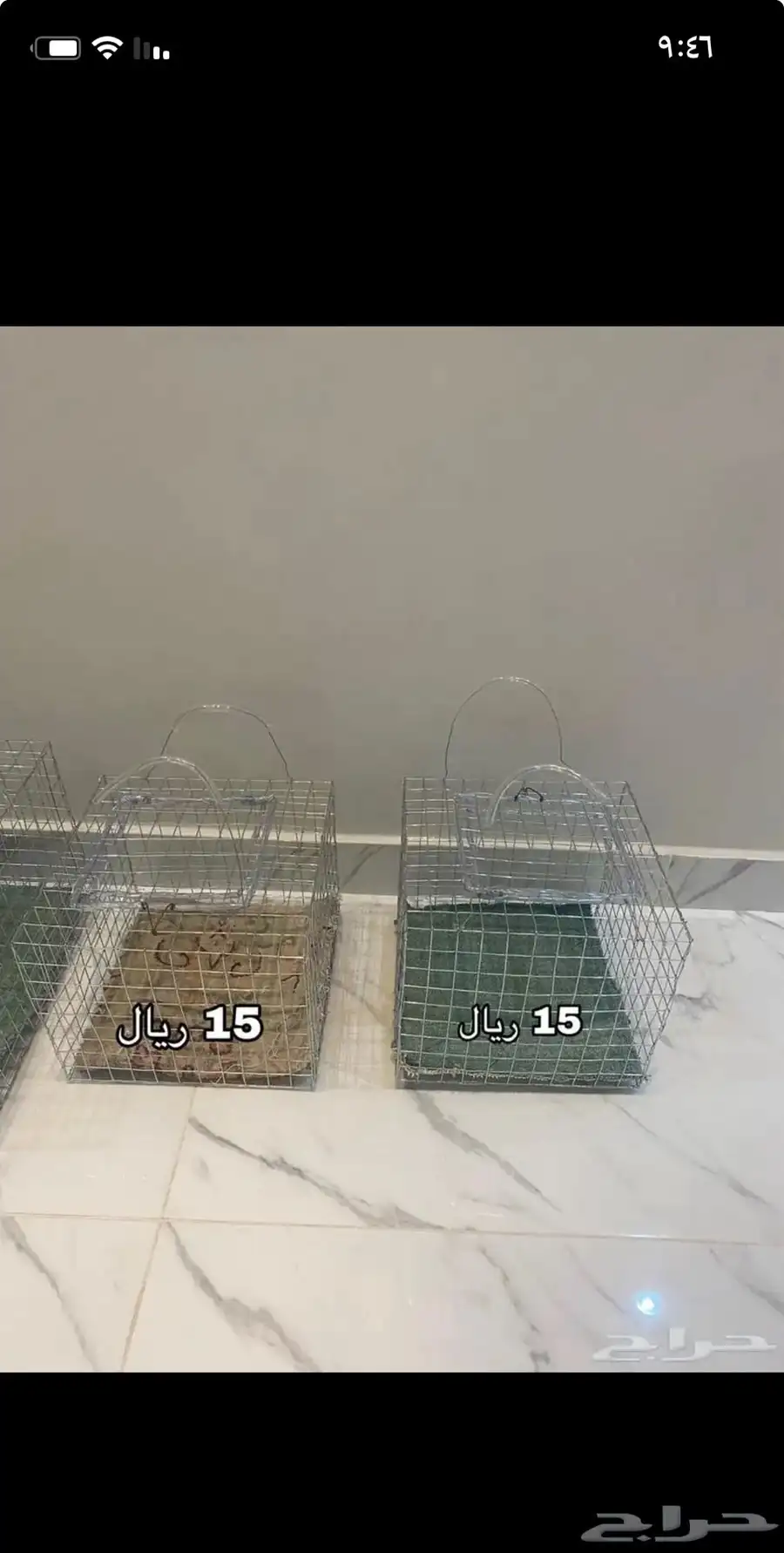 مساقي ومعالف وشبكة للطيور والحيوانات 5