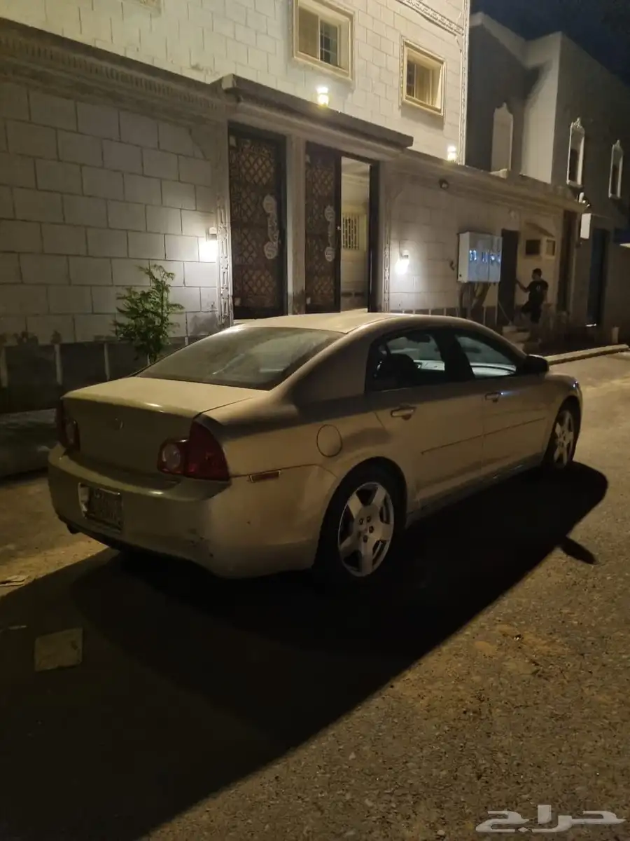 مايبو 2010 3