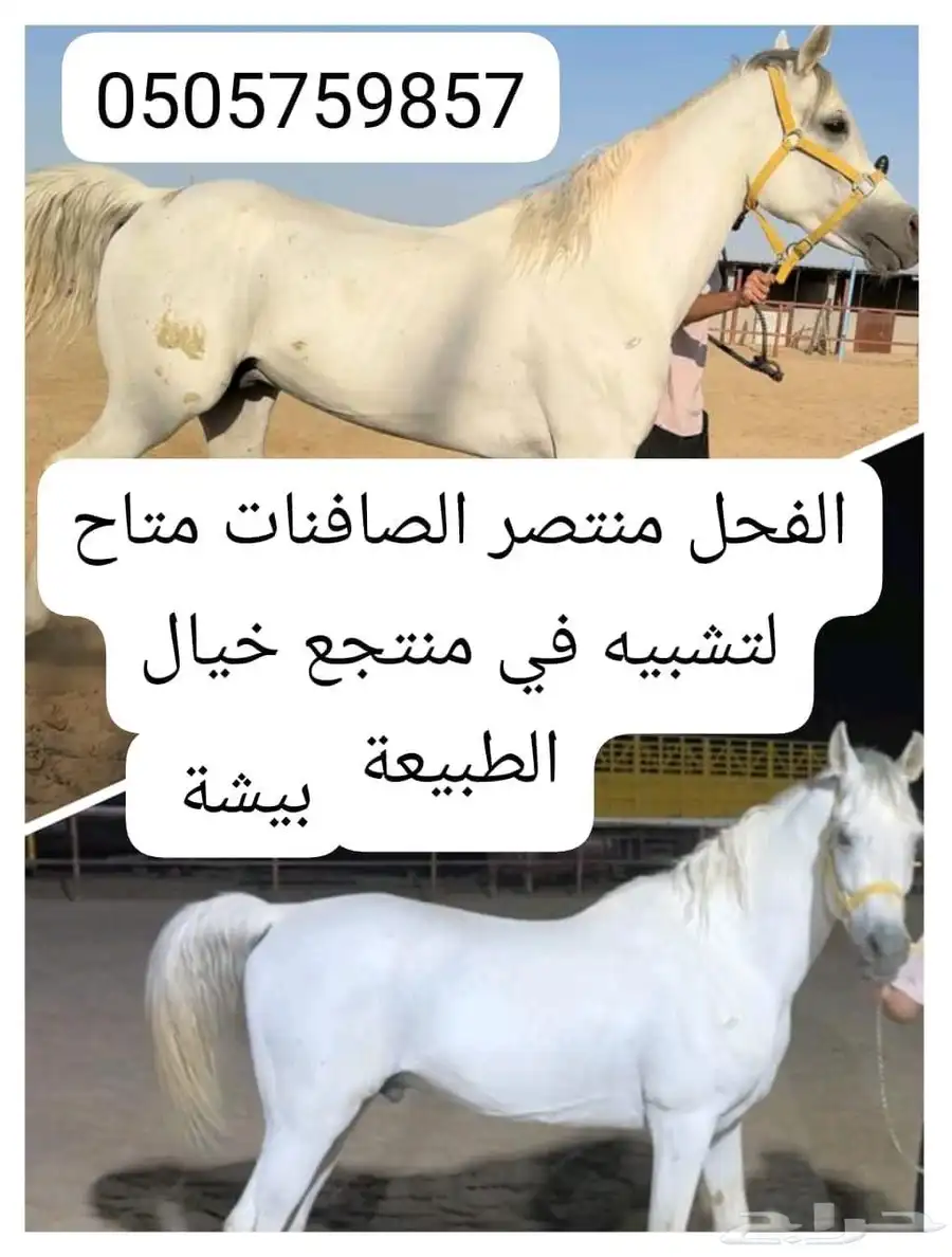 تشبية 0