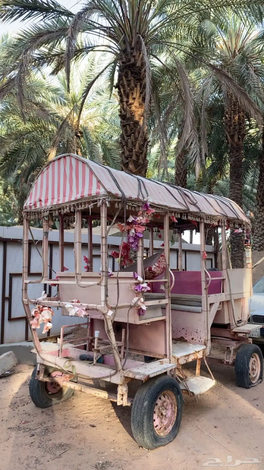 حنطور للبيع 0