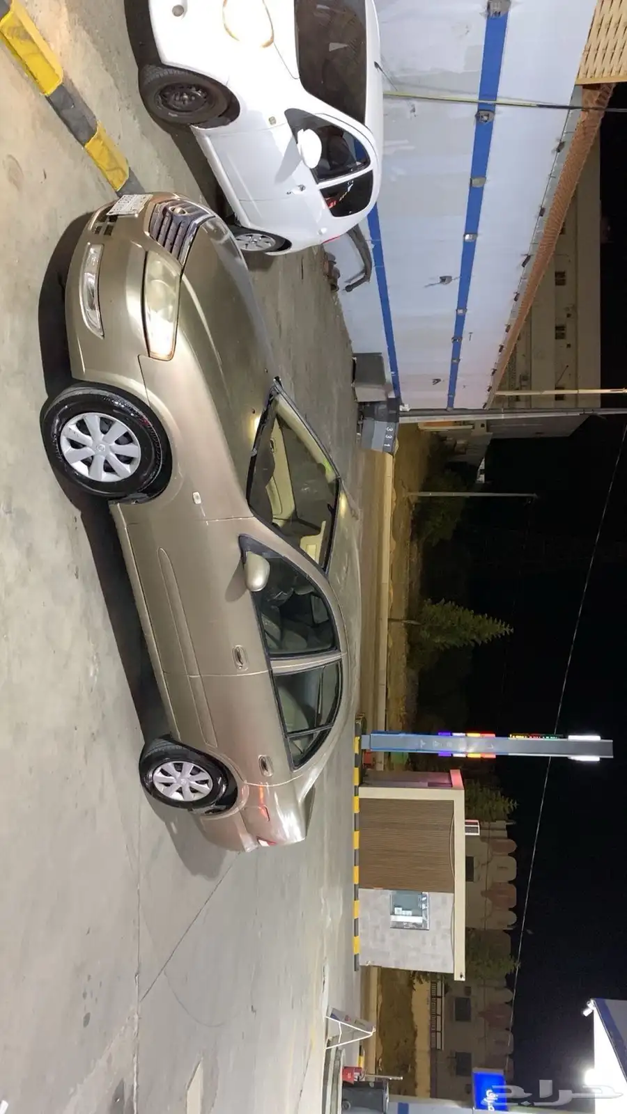 صني 2011 1