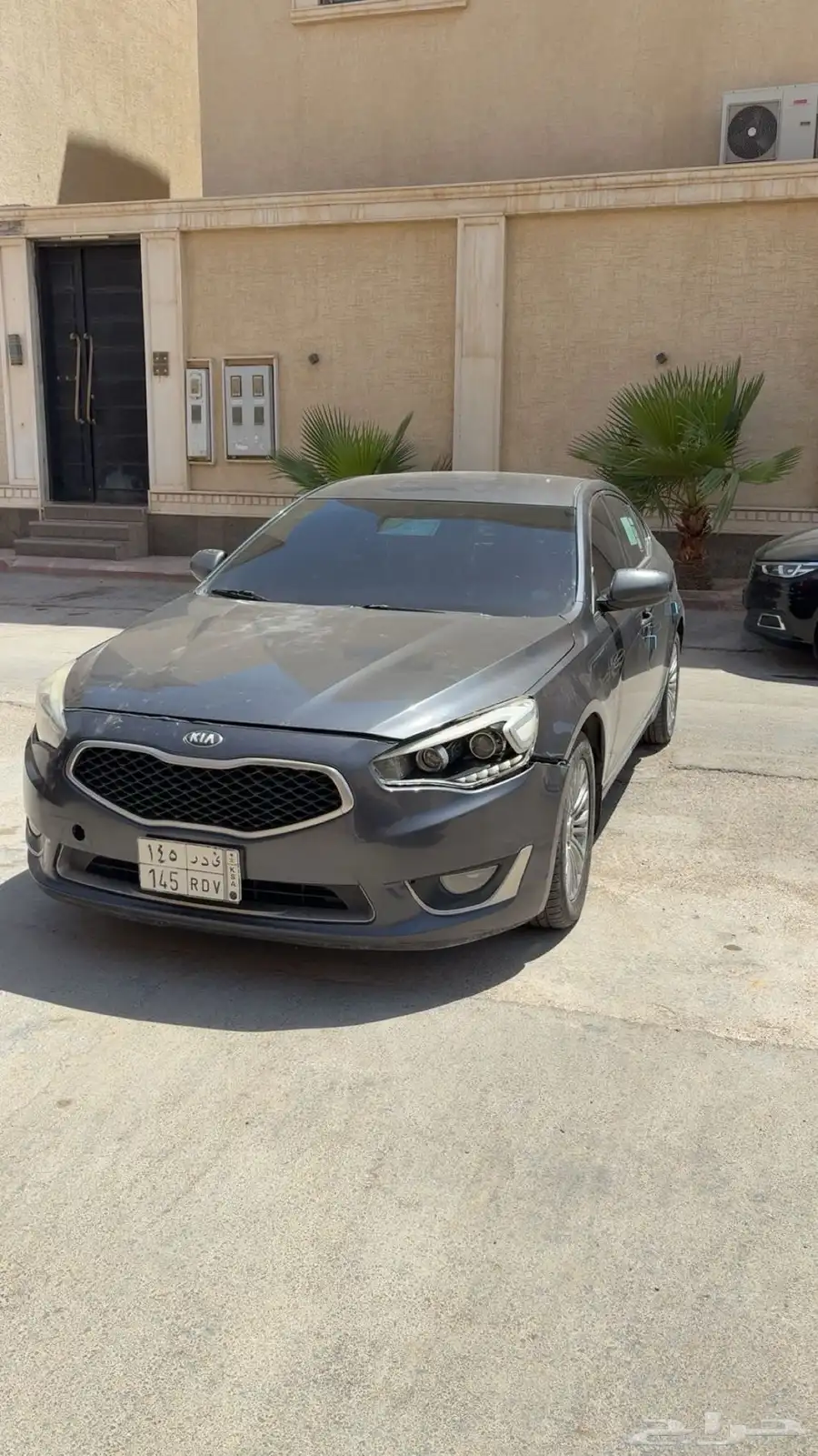 كادنزا 2015 1