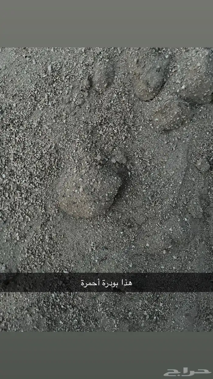 خارسان أحمر كبير وصغير وأسود كبير وصغير وبطحة بودرة 5