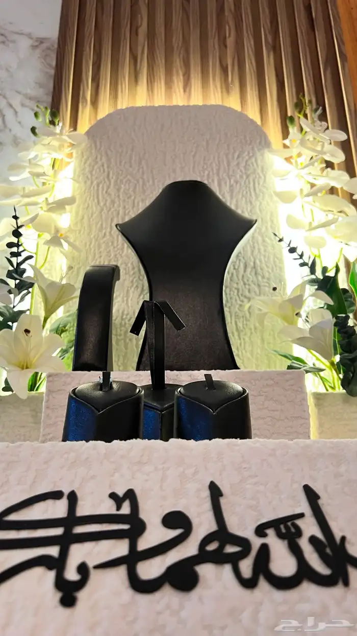 دبش شبكه ملكه 1