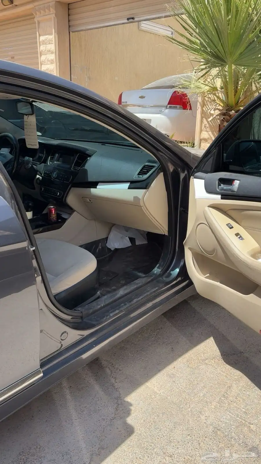 كادنزا 2015 5
