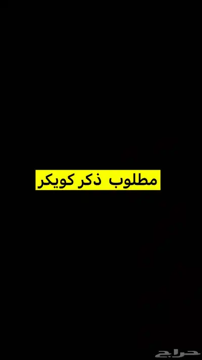 مطلوب ببغاء كويكر ذكر 0