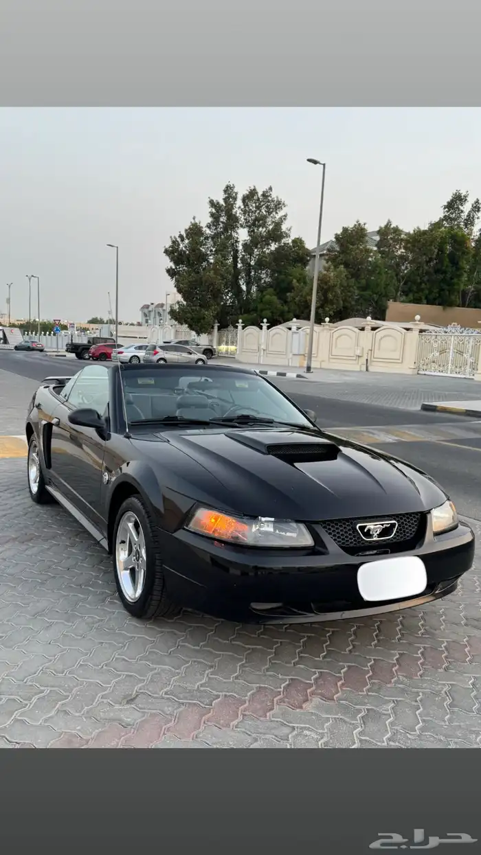 موستنق GT 2004 اصدار 40 عام بحالة الوكاله 15