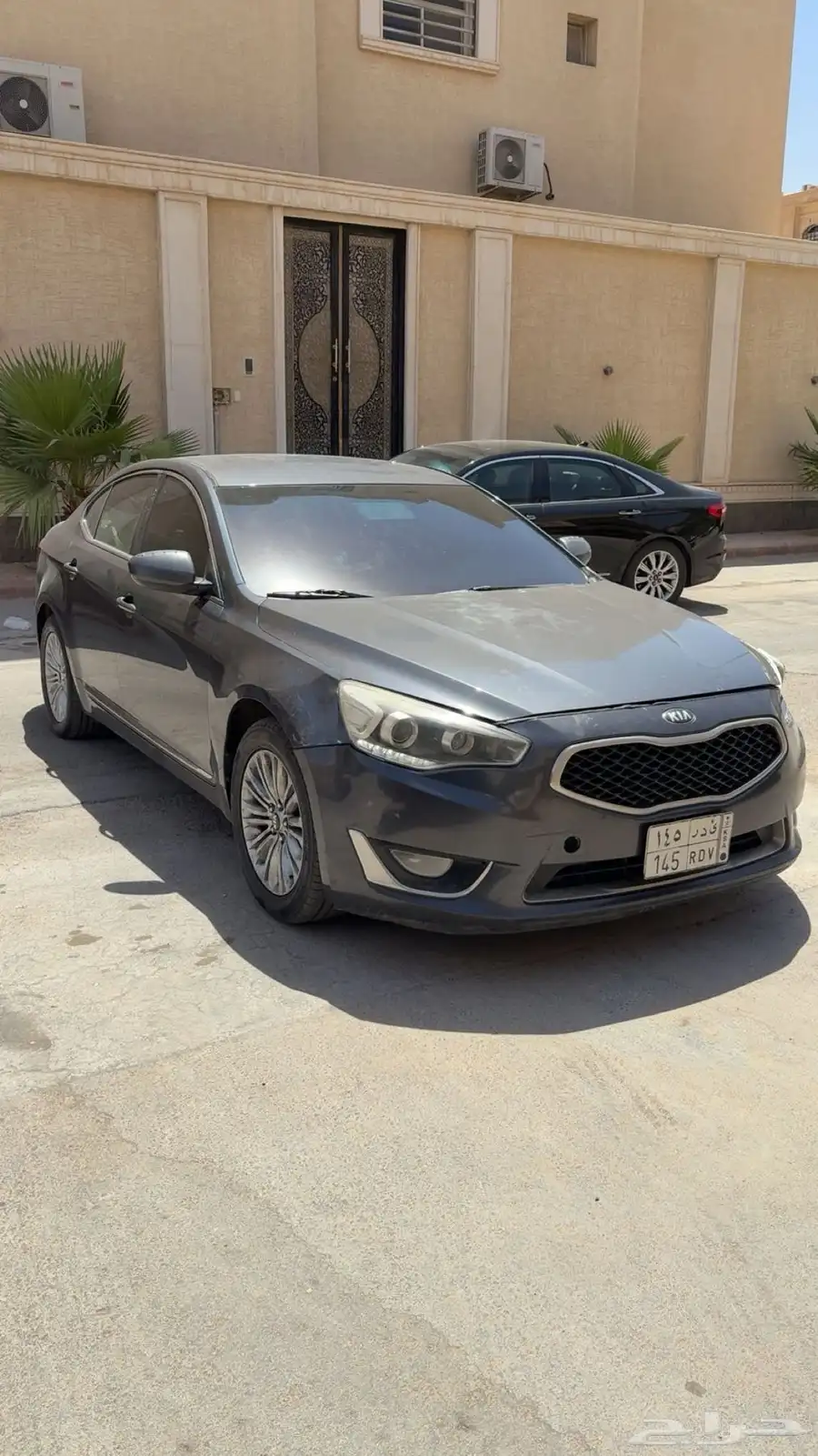 كادنزا 2015 0
